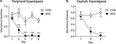 Gene Network Dysregulation in the Trigeminal Ganglia and Nucleus Accumbens of a Model of Chronic Migraine-Associated Hyperalgesia